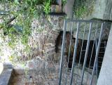 thumbs/dsc00012.jpg