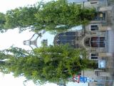 thumbs/dsc00066.jpg