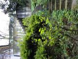 thumbs/dsc00085.jpg