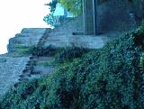 thumbs/dsc00037.jpg
