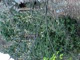 thumbs/dsc00056.jpg