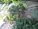 thumbs/dsc00061.jpg