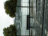 thumbs/dsc00009.jpg