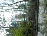 thumbs/dsc00026.jpg