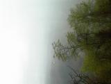 thumbs/dsc00029.jpg