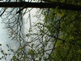 thumbs/dsc00039.jpg