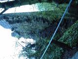 thumbs/dsc00049.jpg